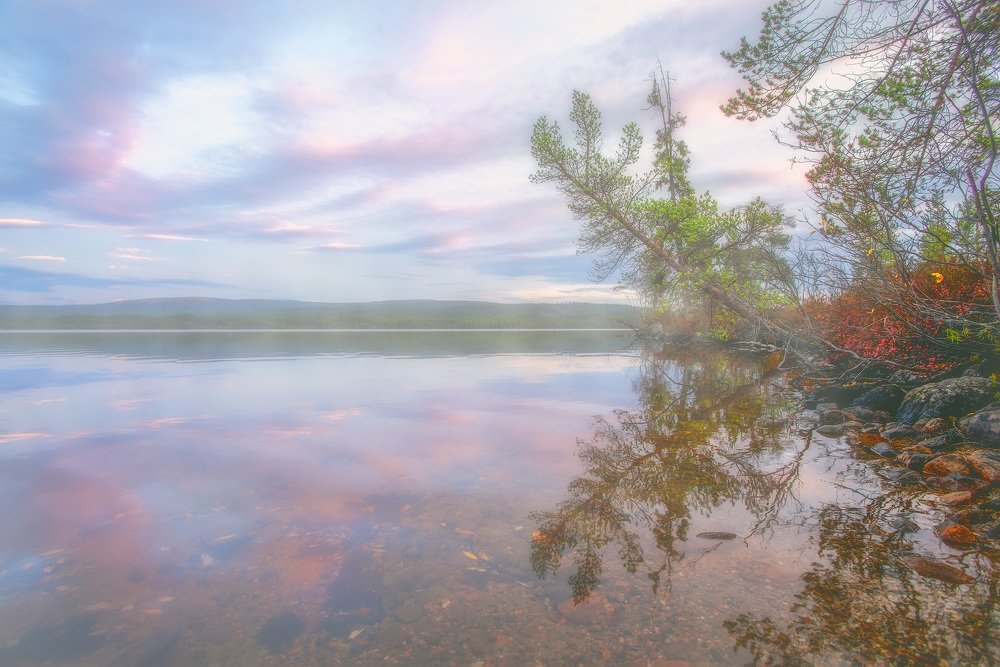 Photograph by Николай Сизиков