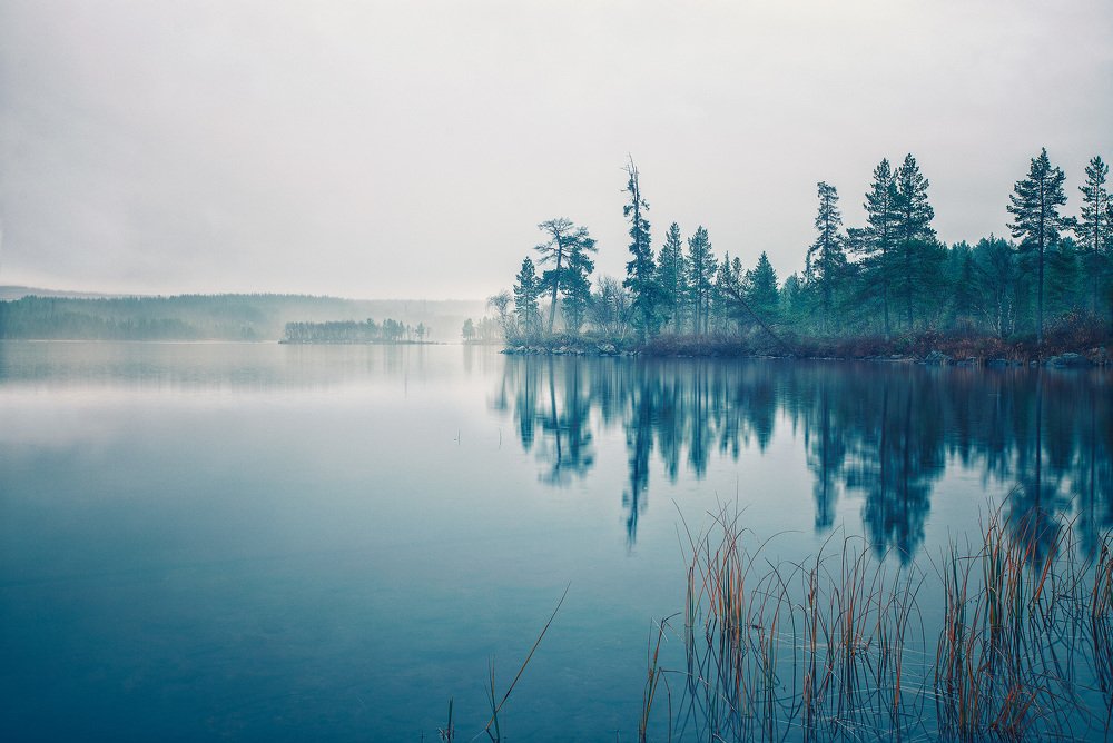 Photograph by Николай Сизиков