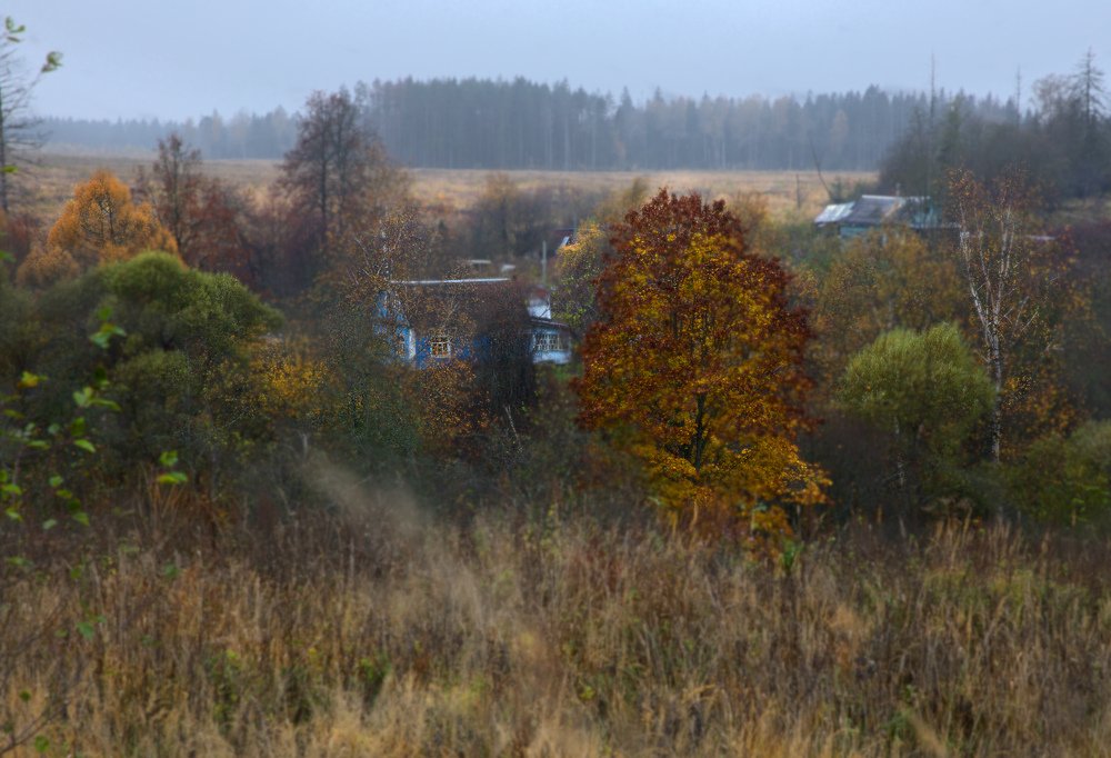 Хутор Кукуевский