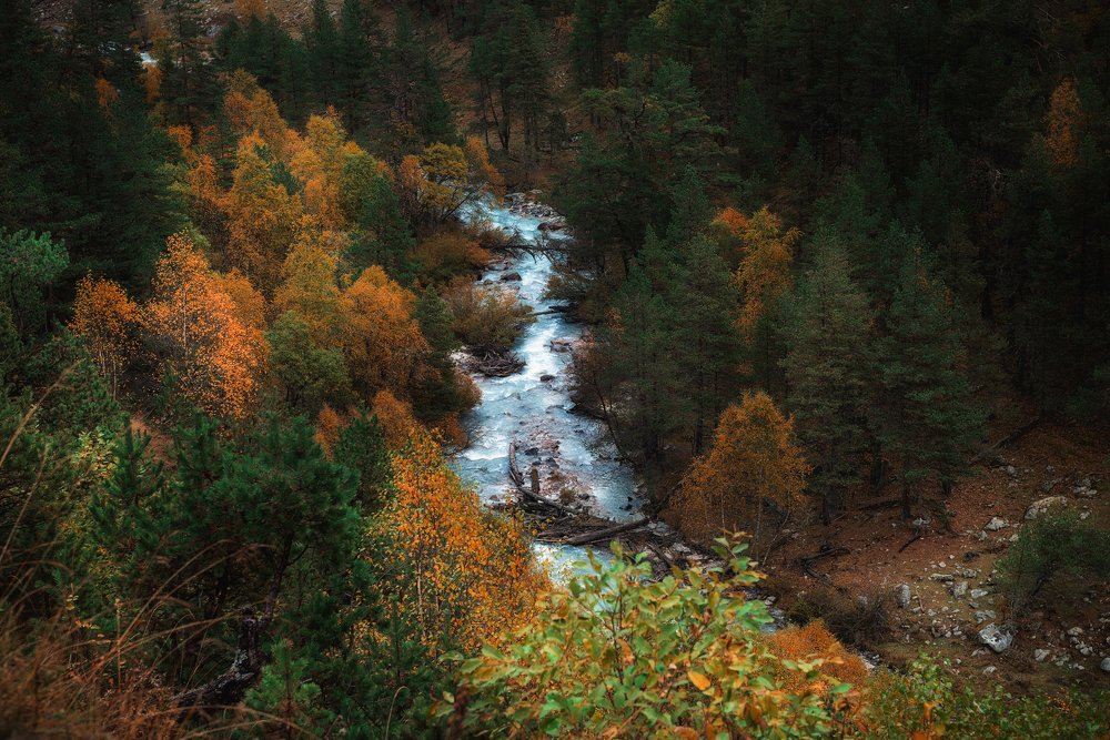 Photograph by Александр Титов