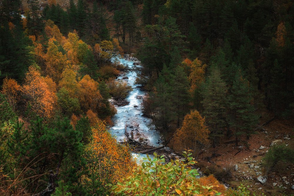 Photograph by Александр Титов