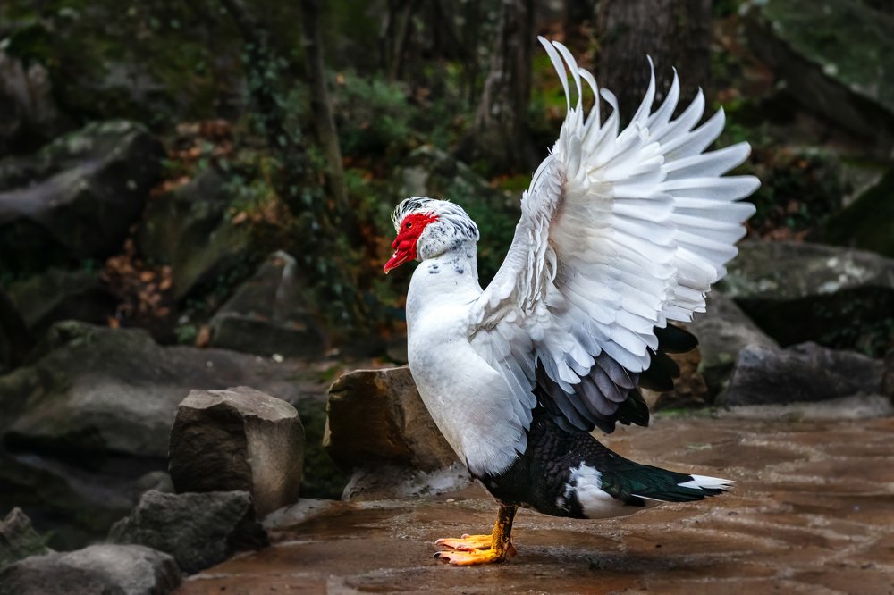 Photograph by Ирина Ульянова