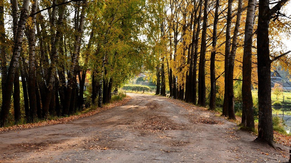 Photograph by Сергей Торхов