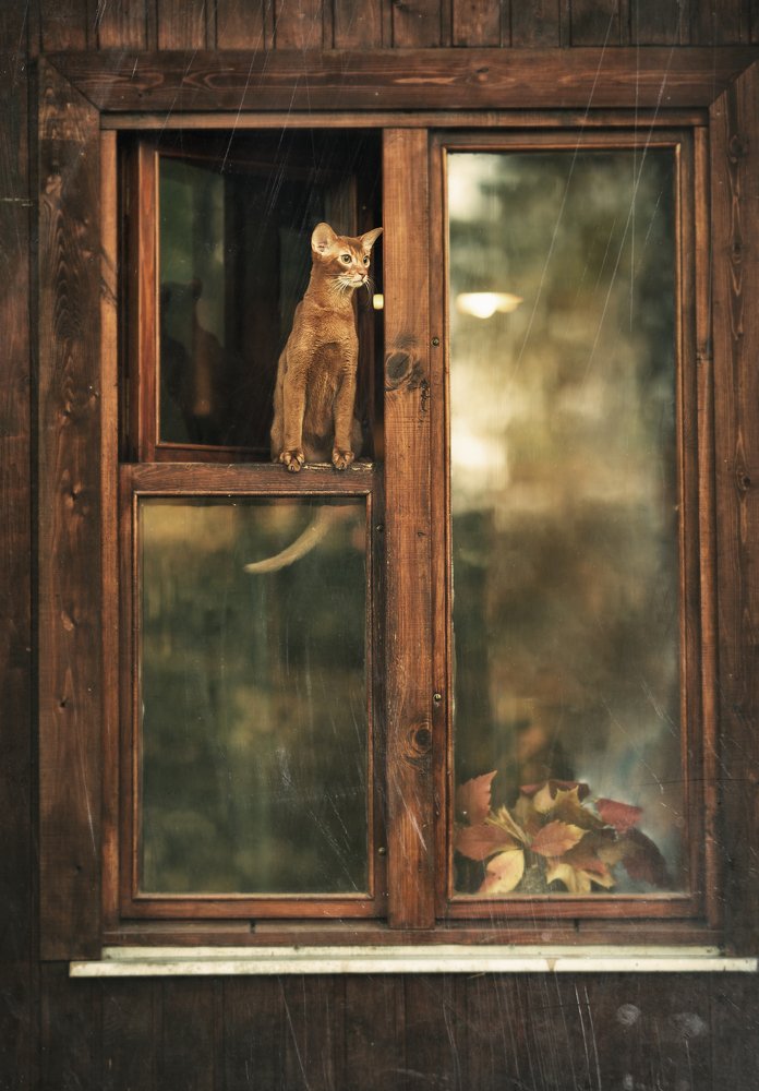 Photograph by Мария Трещева