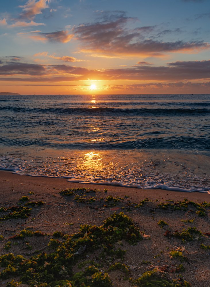 Photograph by Ognyan Levashki