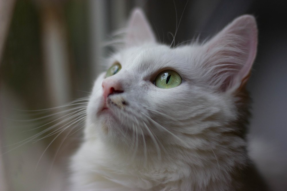 Photograph by Татьяна Скворцова