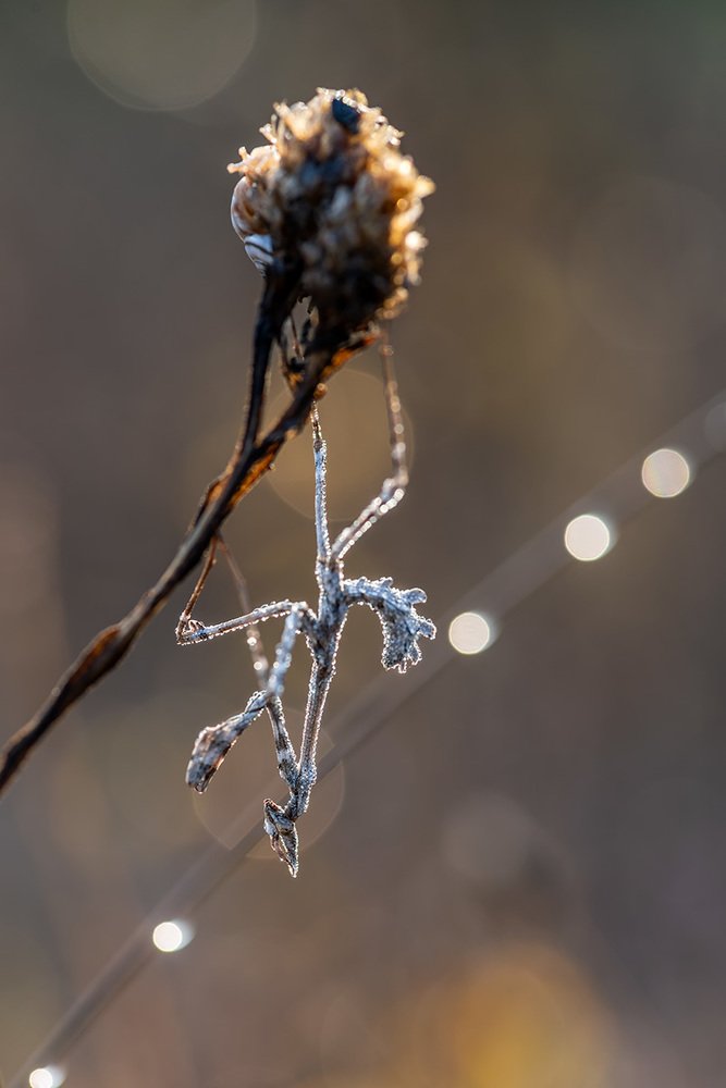 Photograph by Александр Земляной