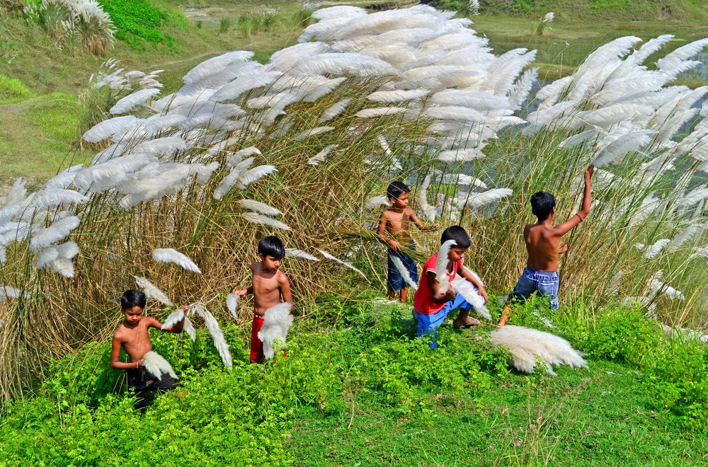 Photograph by CHINMOY BISWAS