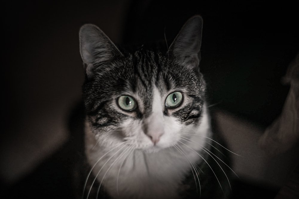 Photograph by Дмитрий Малышев