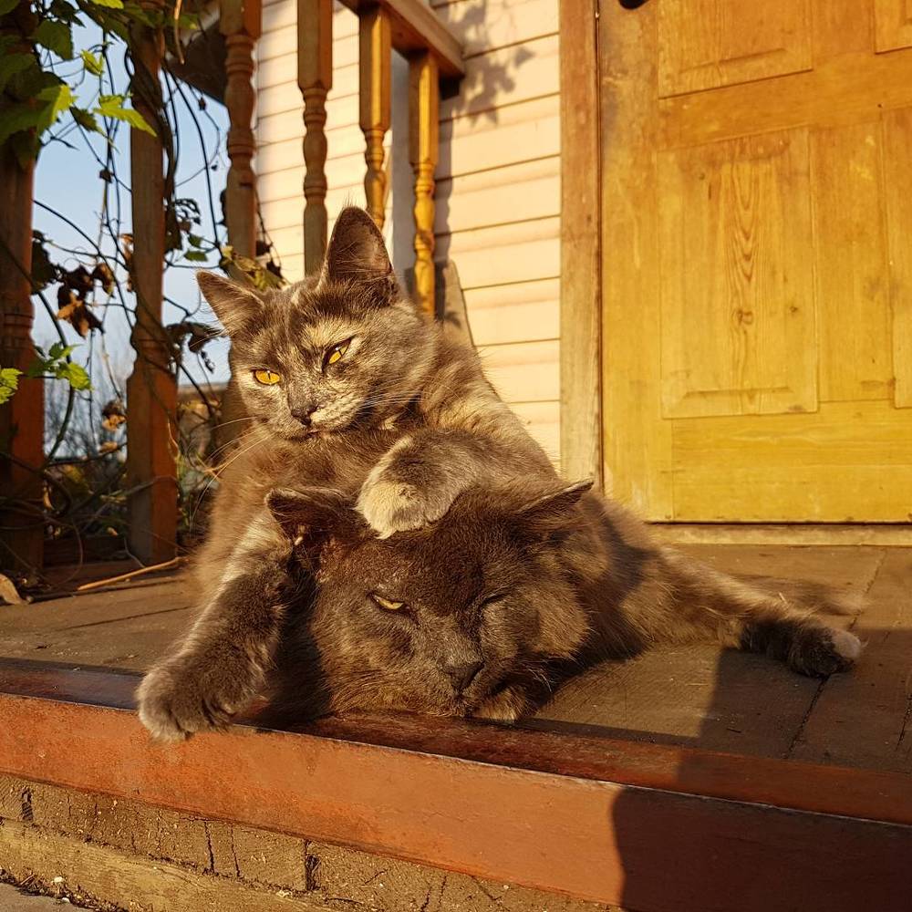 Photograph by Людмила Аксенова