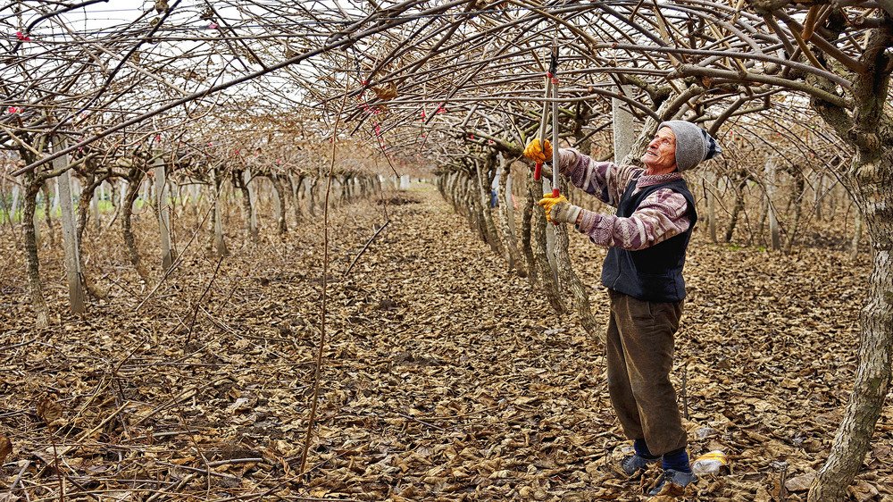 Photograph by Bekir Yesiltas