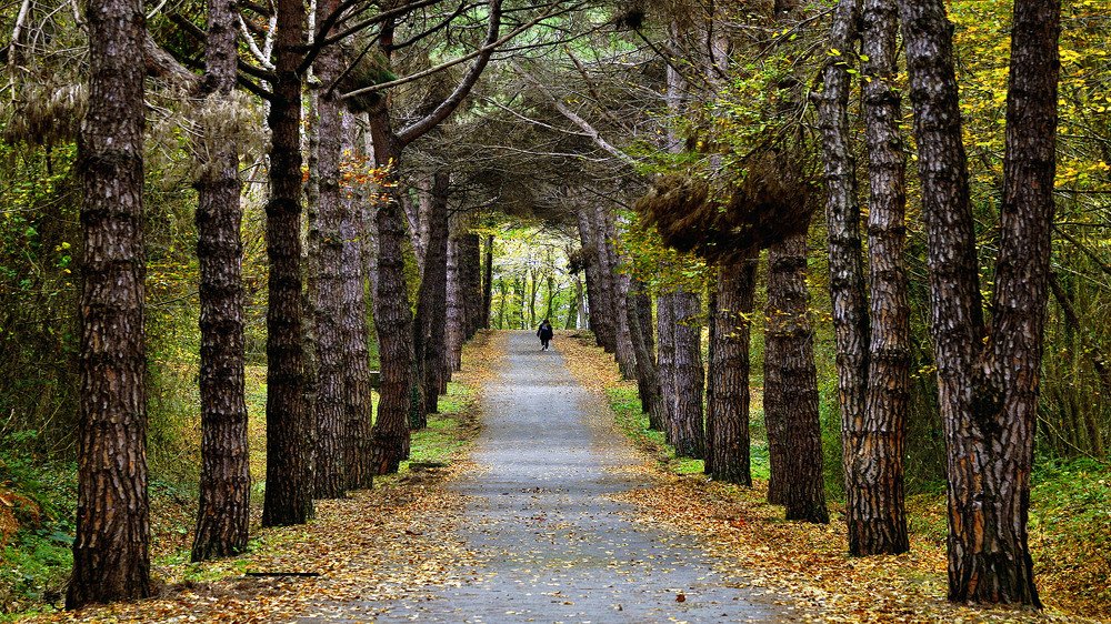 Photograph by Bekir Yesiltas