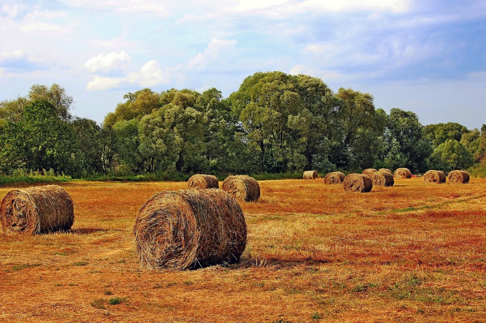 Photograph by Александр Бугаенко
