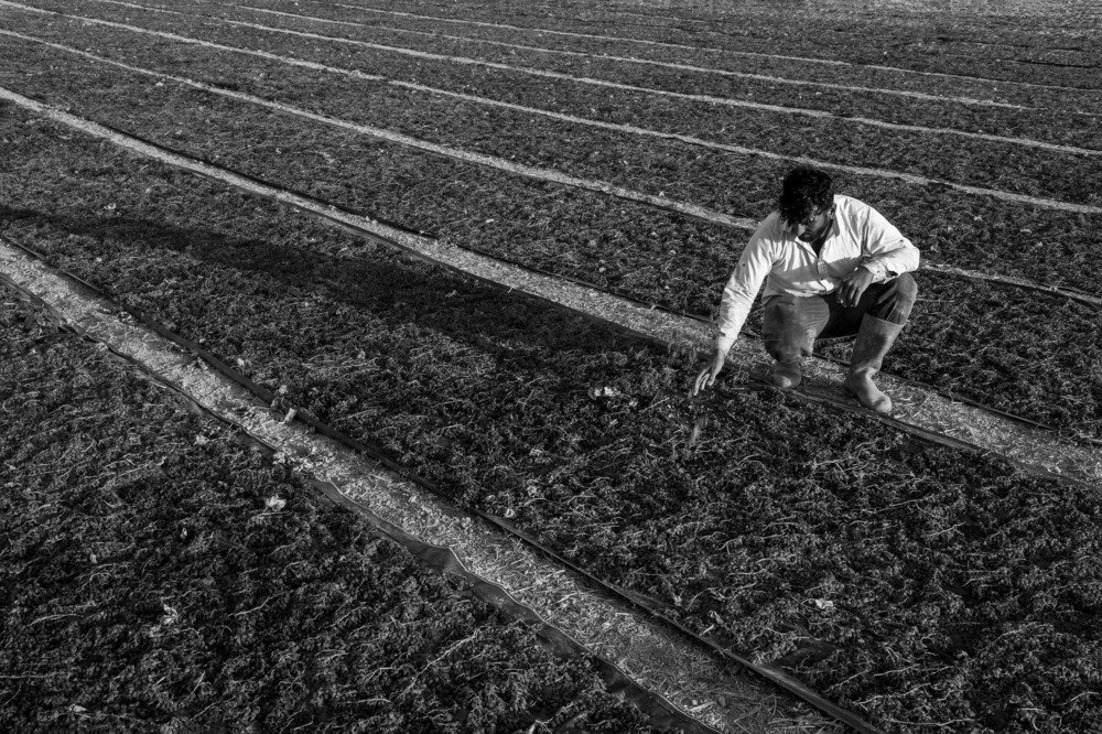 Photograph by Cem Yakal