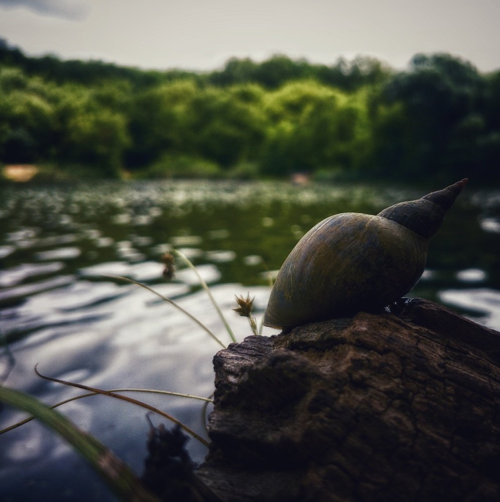 Photograph by Андрей