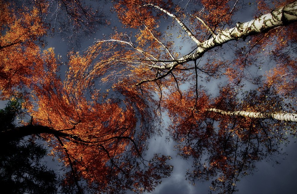 Photograph by Евгений Жиляев