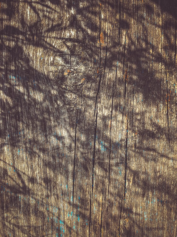 Льняная тень.