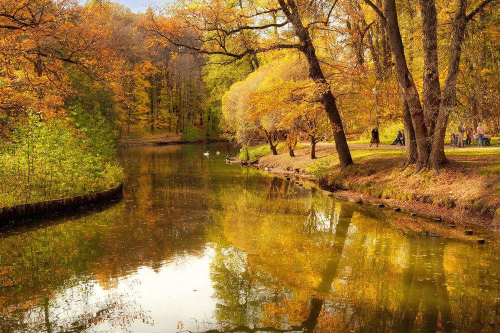 Photograph by Александр Кочергин