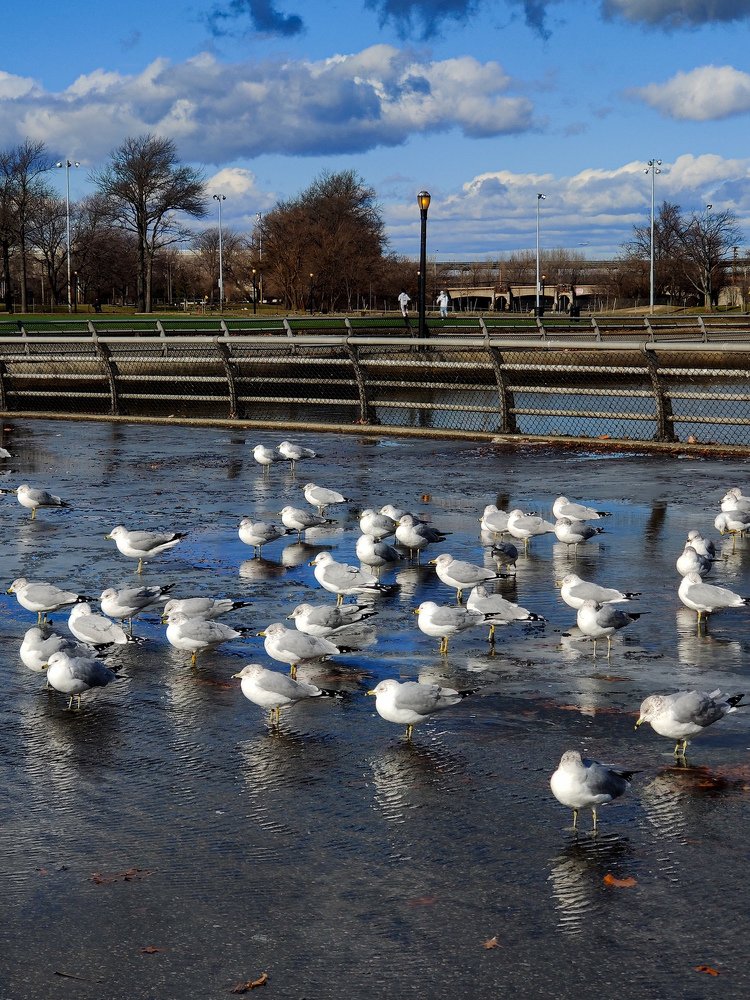 Photograph by Елена Башмакова
