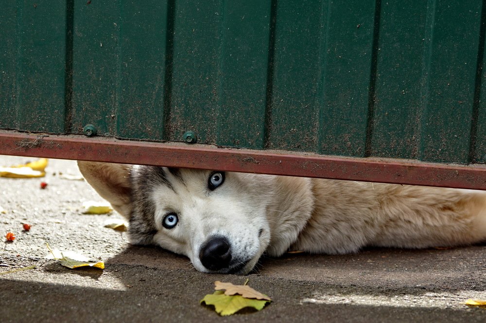 Photograph by Евгений Жиляев