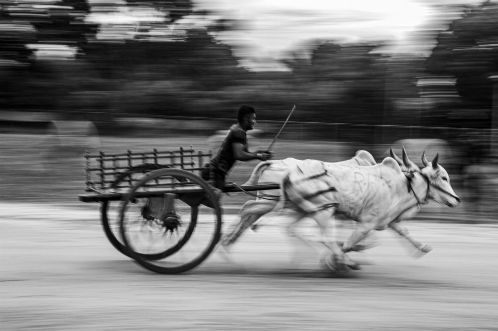 Photograph by Tilaxan Tilaxan