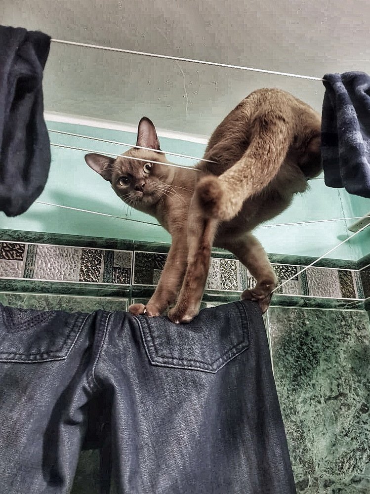 Photograph by Евгений Жиляев