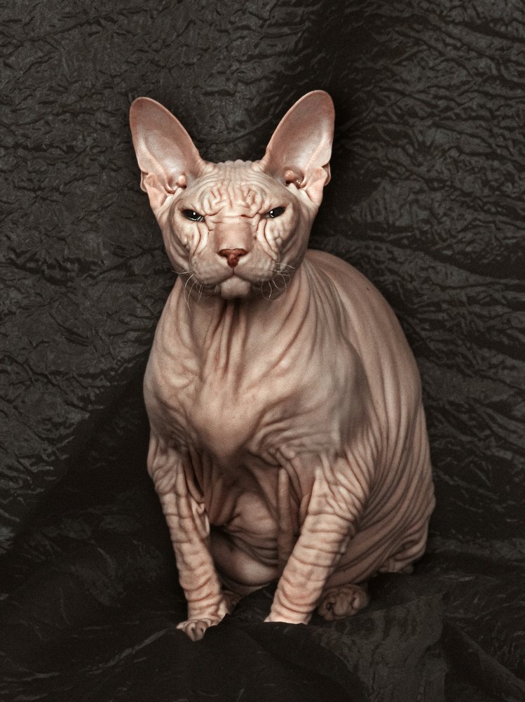 Photograph by Алёна Храмова