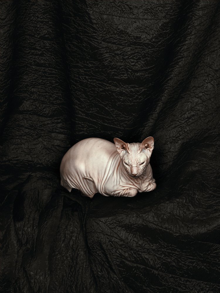 Photograph by Алёна Храмова