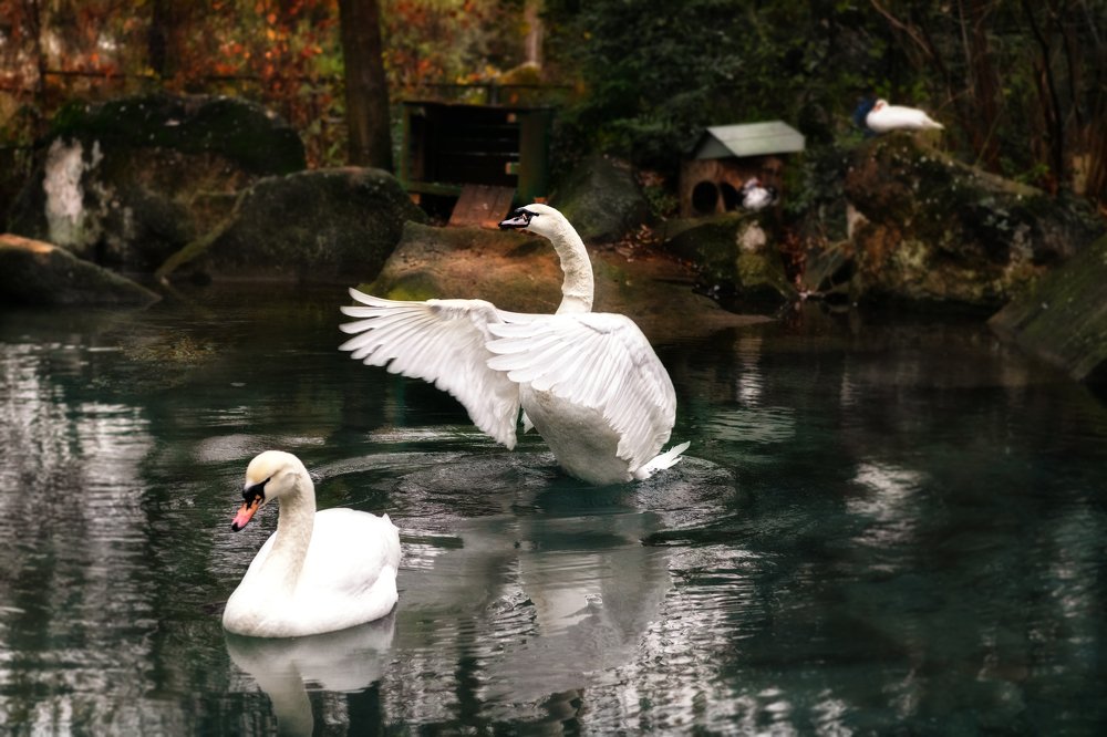 Photograph by Ирина Ульянова