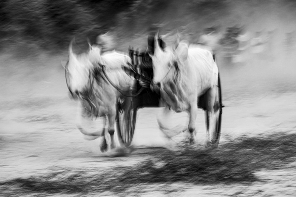 Photograph by Tilaxan Tilaxan