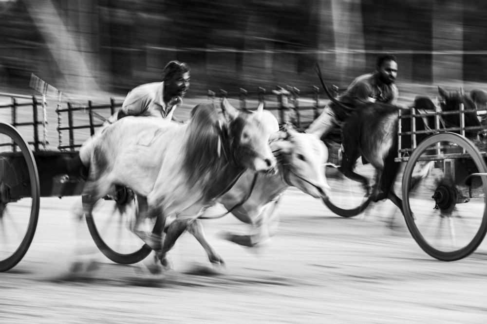 Photograph by Tilaxan Tilaxan