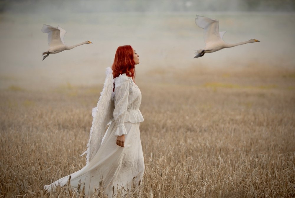 Photograph by Viktoria Okhrimenko