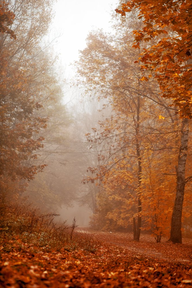 Photograph by Ирина Малина