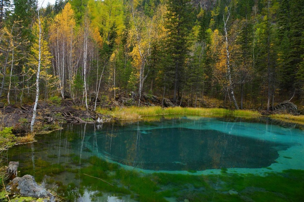 Photograph by Михаил