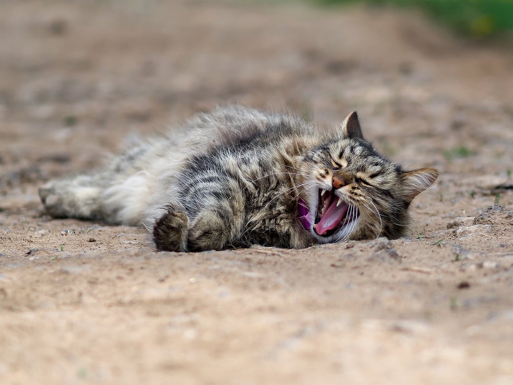 Photograph by Наталья Прохорова