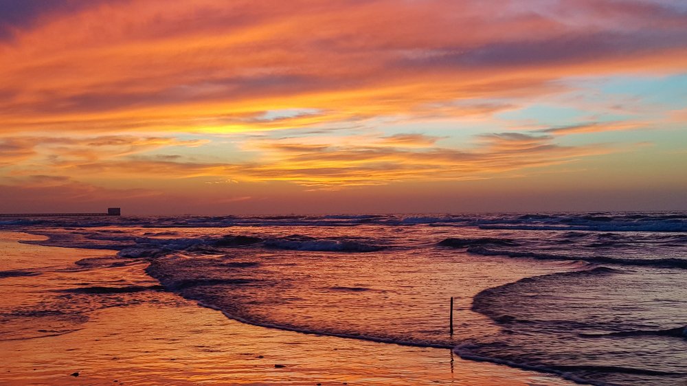 Photograph by Sanjoy Sengupta