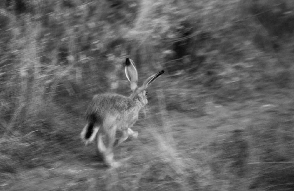 Photograph by Елизавета Аврамова