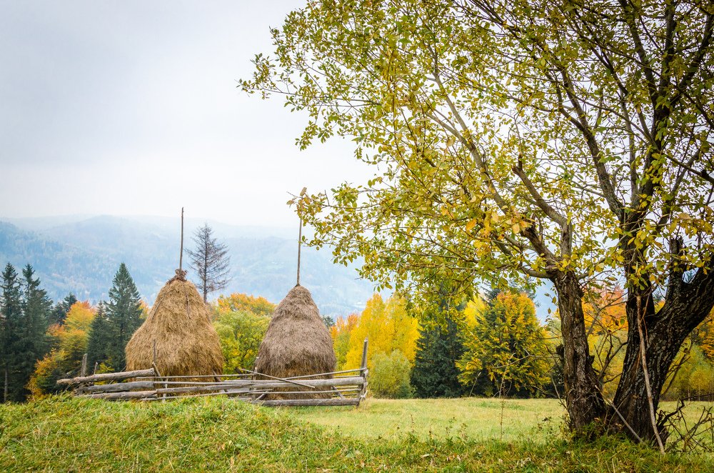 Photograph by Виктор Карпов