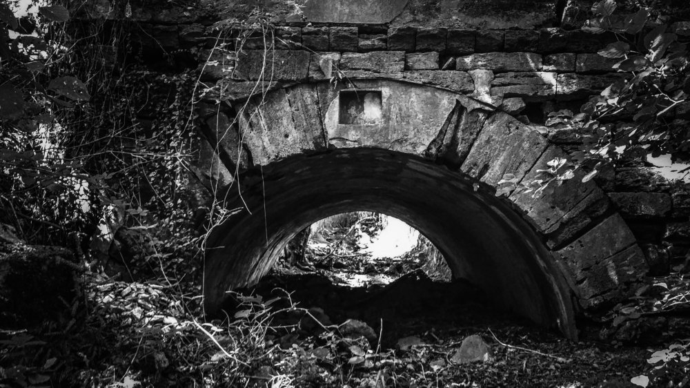 Photograph by Артём