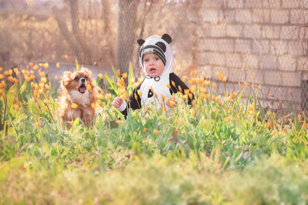 Photograph by Елизавета Аврамова