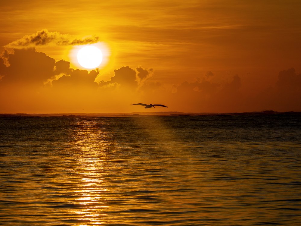 Полет фрегата. Flight of the frigate.