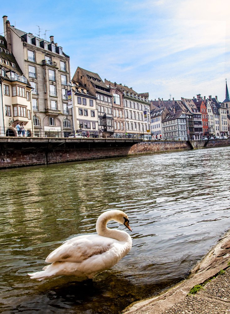Страсбург. Strasbourg.