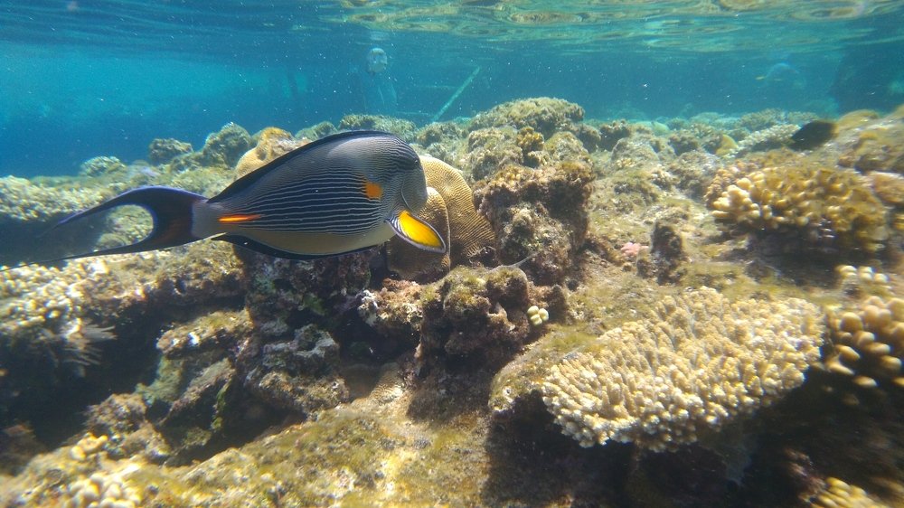 Photograph by Виктор Карпов