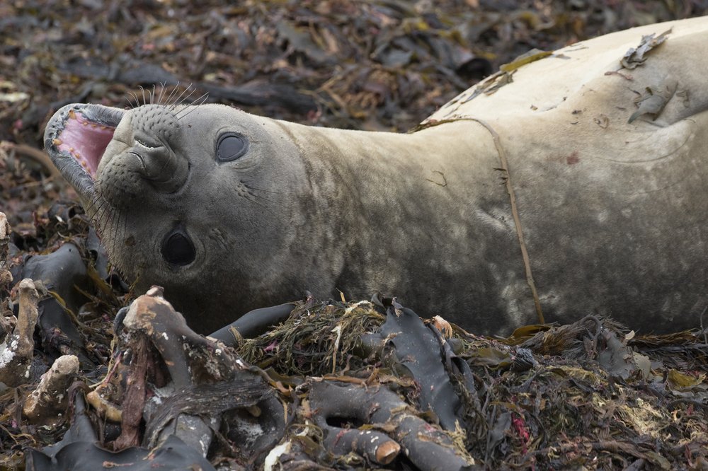 Photograph by TRACEY LUND