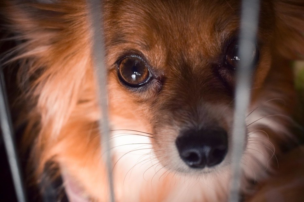 Photograph by Елизавета Аврамова