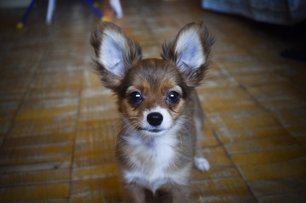 Photograph by Елизавета Аврамова