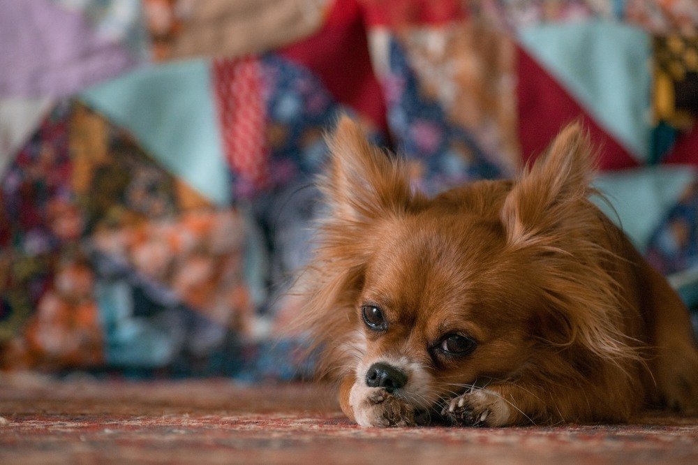 Photograph by Елизавета Аврамова