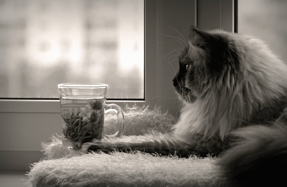 Фотография автора Валентина Гундарева