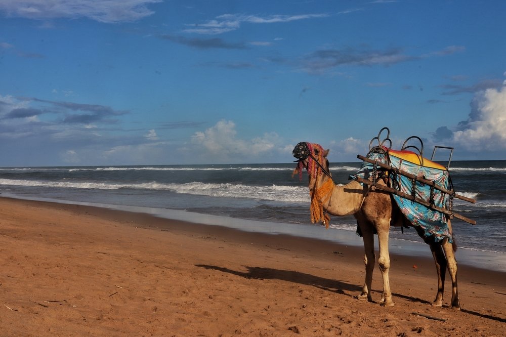 Photograph by Pravat Biswas