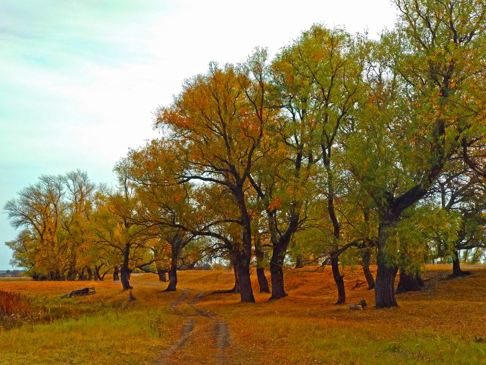 Photograph by Iren Gavrikova